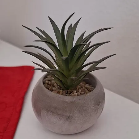 Apartamento Apartmaji Kos