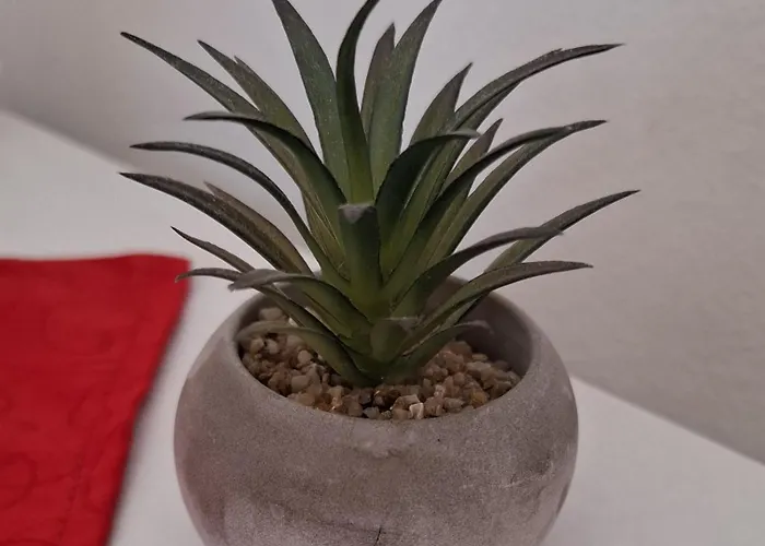 Apartment Apartmaji Kos